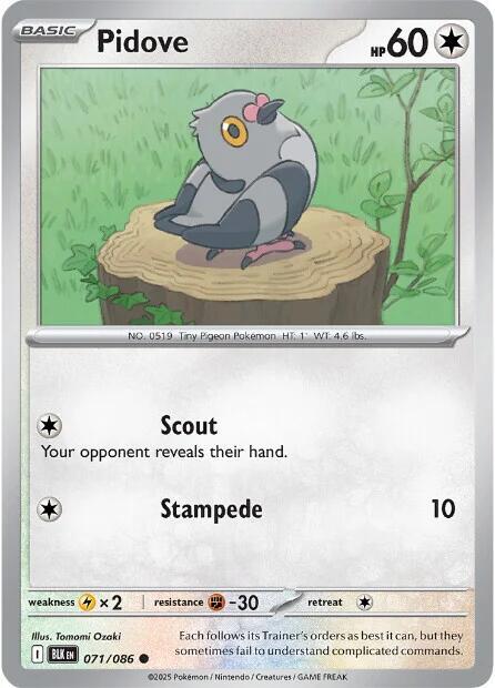 Reverse Holo - PIDOVE
