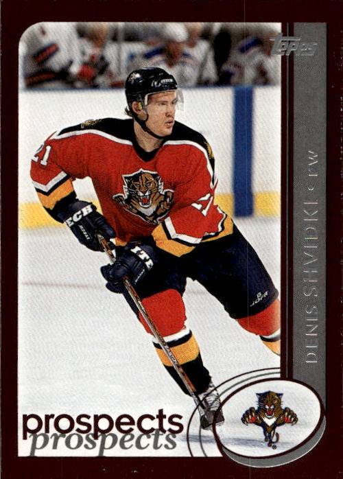 DENIS SHVIDKI 02-03 Topps Hockey (světlé hrany)