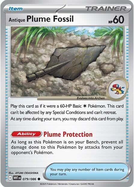 Item - ANTIQUE PLUME FOSSIL