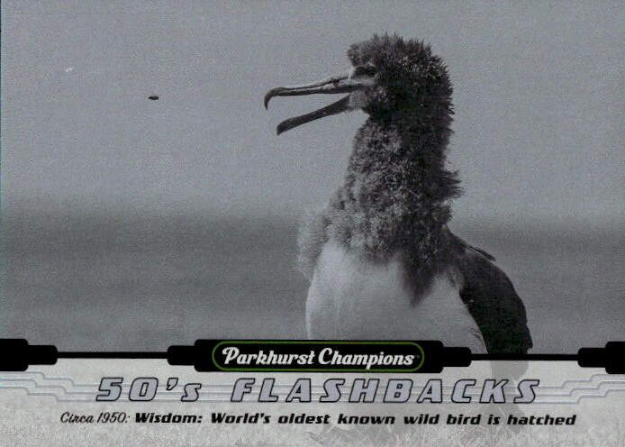 50s Flashbacks OLDEST KNOWN WILD BIRD 22-23 UD Parkhurst Champions